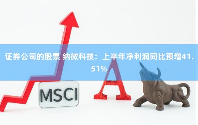 证券公司的股票 纳微科技：上半年净利润同比预增41.51%